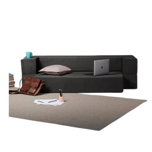 Sofa cum Bed D4