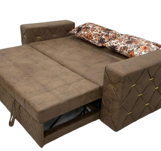Sofa cum Bed D14